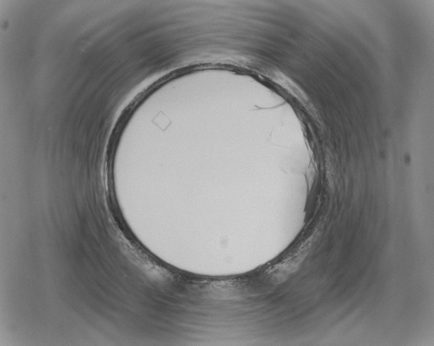 X0000079311028200612151747