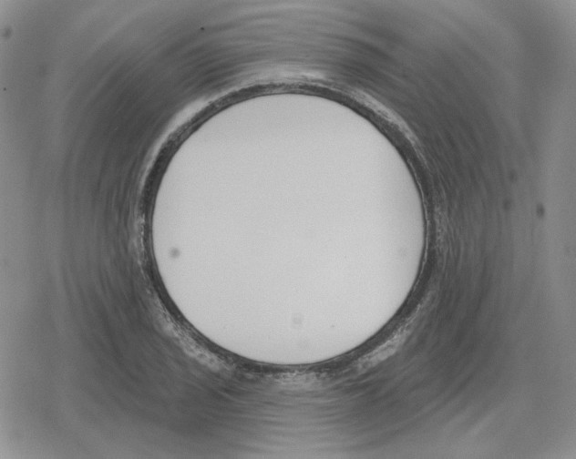 X0000079311029200612151747