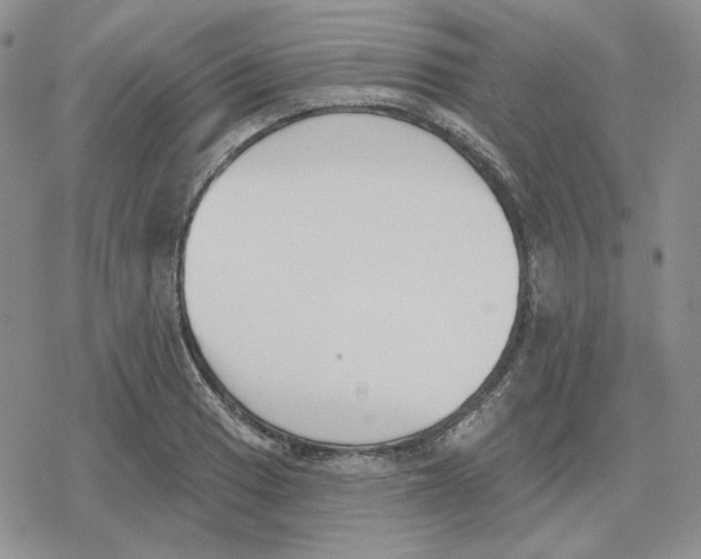 X0000079311033200612151747