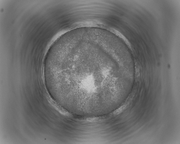 X0000079311035200612151747