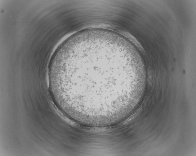 X0000079311036200612151747