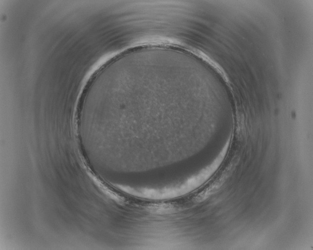 X0000079311037200612151747