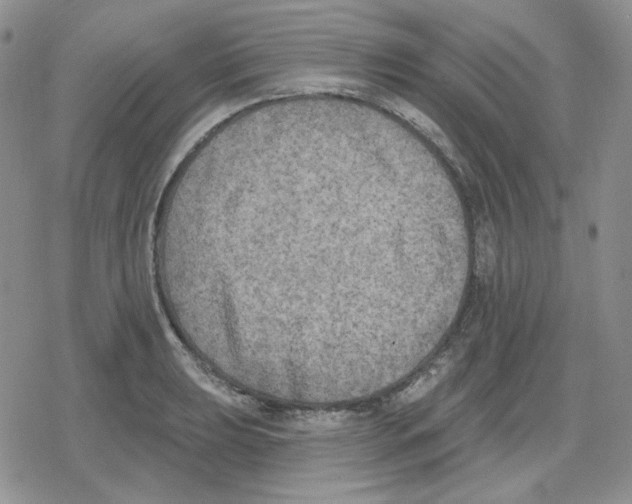 X0000079311039200612151747