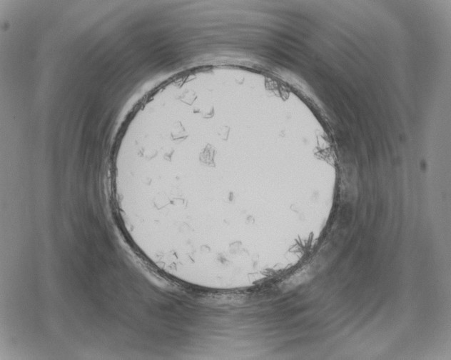 X0000079311040200612151747