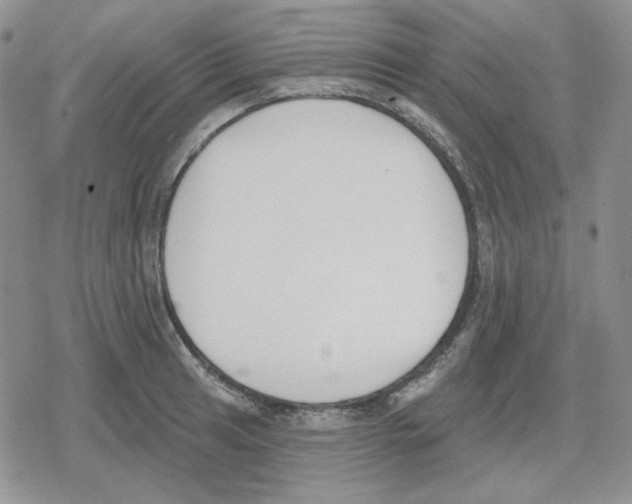 X0000079311041200612151747