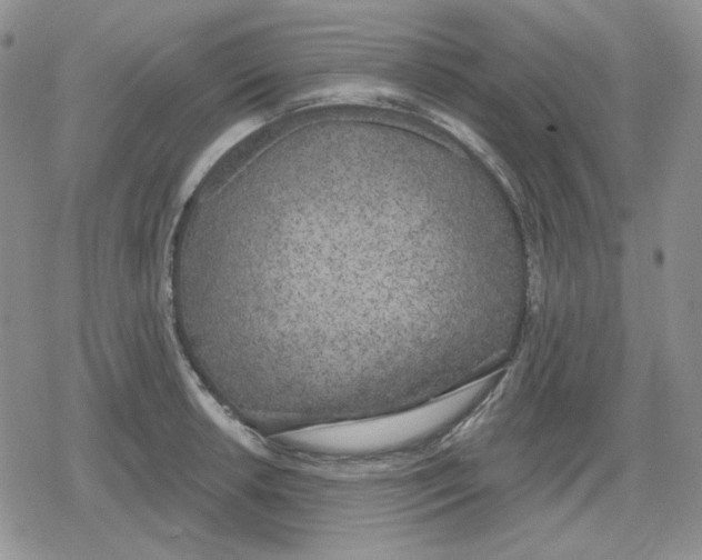 X0000079311042200612151747