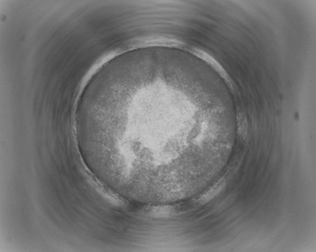 X0000079311043200612151747