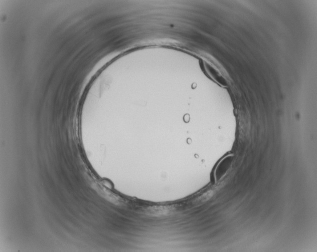 X0000079311044200612151747