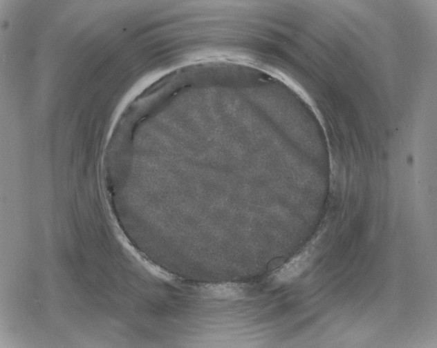 X0000079311045200612151747