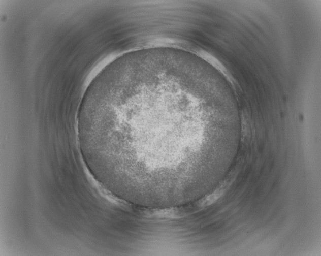 X0000079311047200612151747