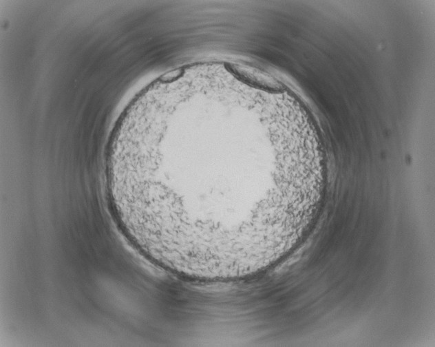 X0000079311048200612151747