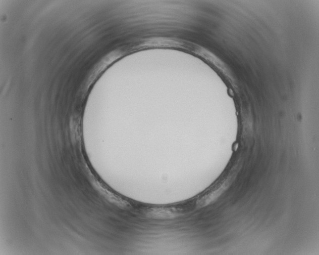 X0000079311049200612151747