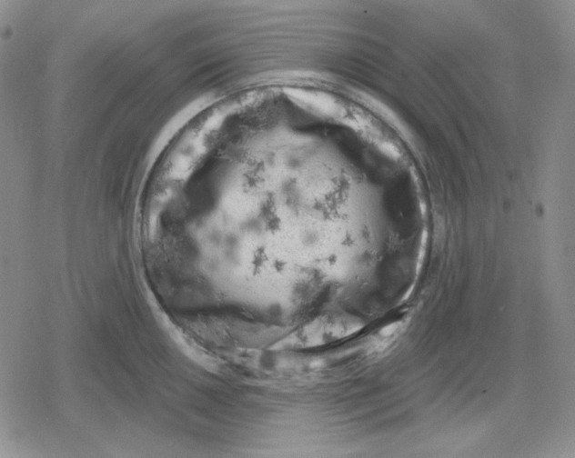 X0000079311050200612151747