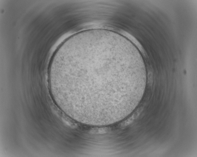 X0000079311051200612151747