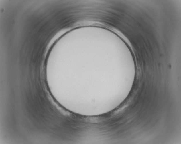 X0000079311053200612151747