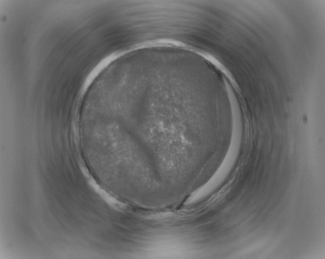 X0000079311054200612151747