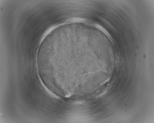 X0000079311055200612151747