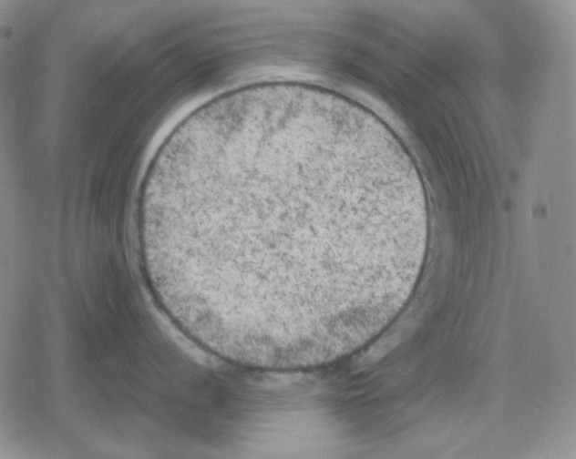 X0000079311056200612151747