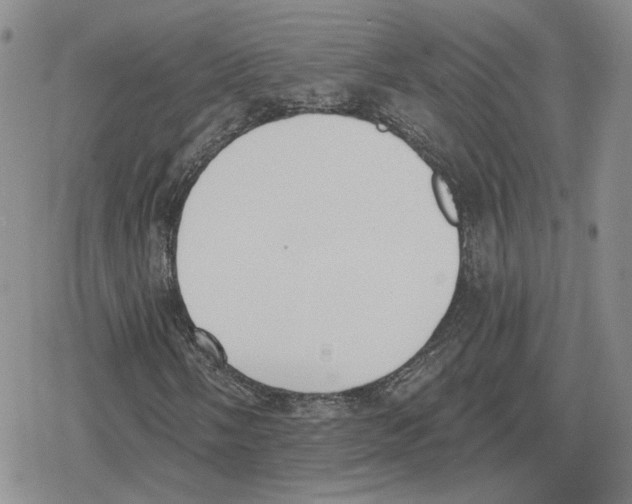 X0000079311058200612151746