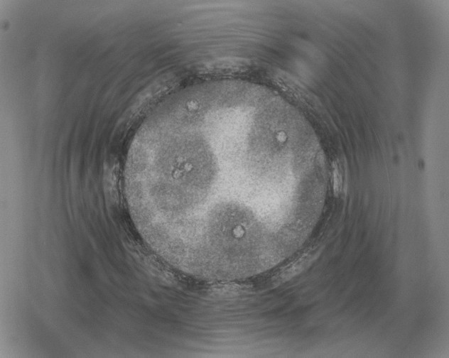 X0000079311059200612151746