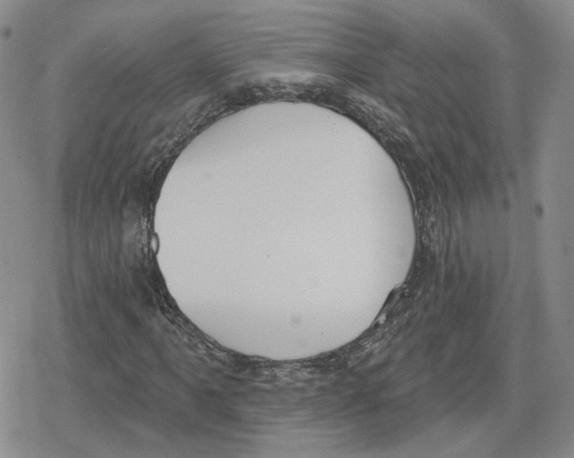 X0000079311061200612151746