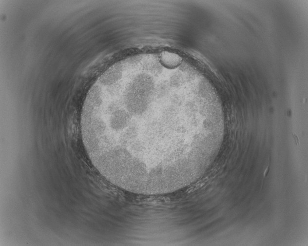 X0000079311063200612151746