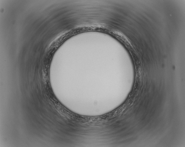 X0000079311064200612151746