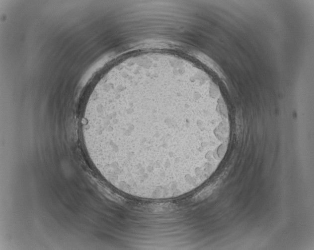 X0000079311067200612151746