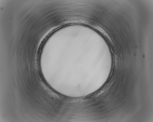 X0000079311068200612151746