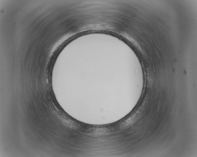 X0000079311070200612151746