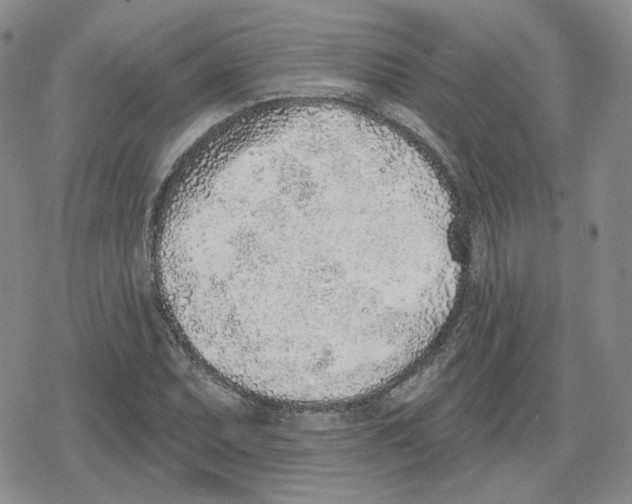 X0000079311071200612151746