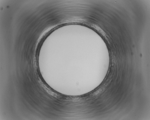 X0000079311072200612151746