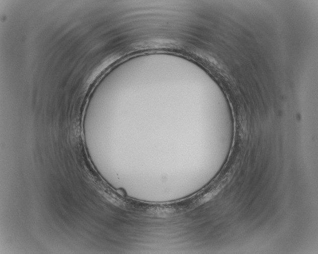 X0000079311073200612151746