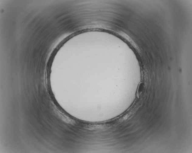 X0000079311076200612151746