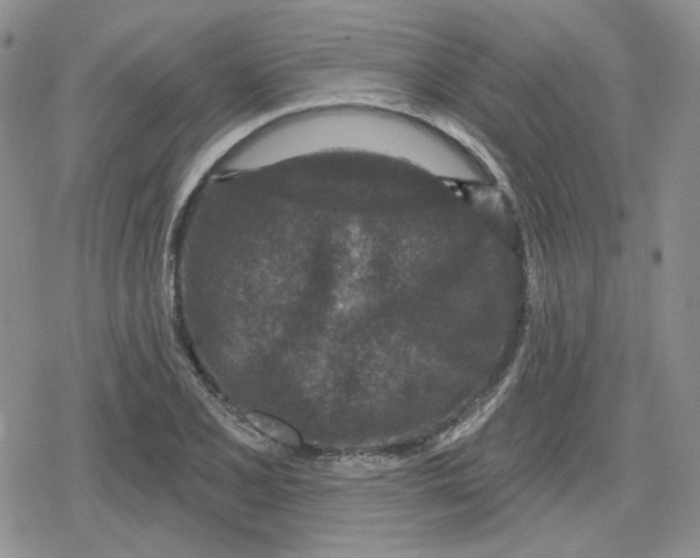 X0000079311077200612151746