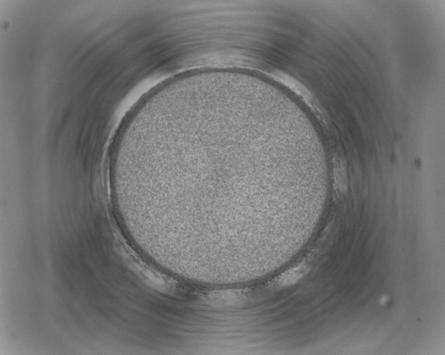 X0000079311078200612151746