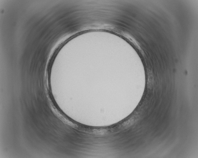 X0000079311080200612151746