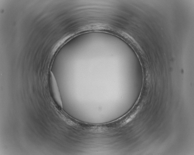 X0000079311081200612151746