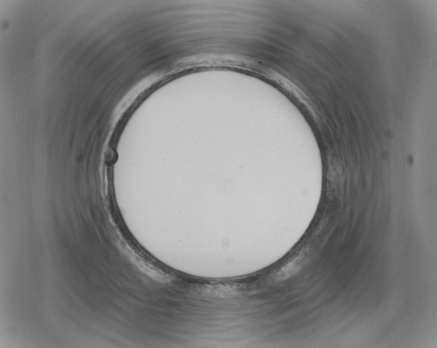 X0000079311082200612151746