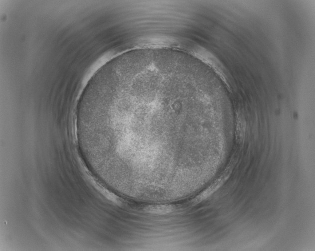 X0000079311083200612151746