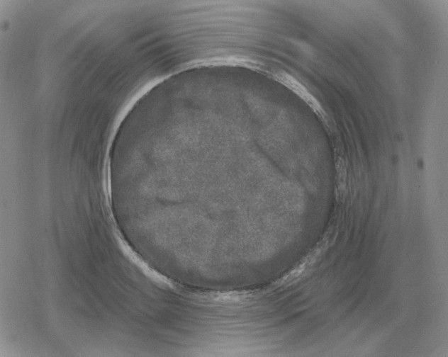 X0000079311084200612151746