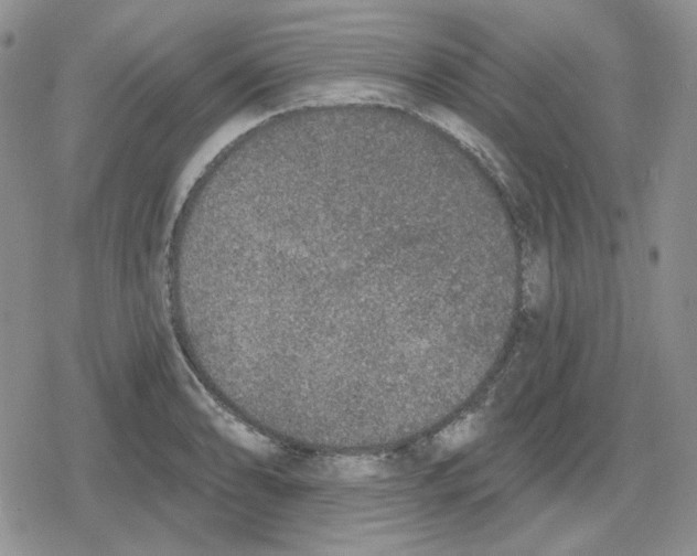 X0000079311086200612151746