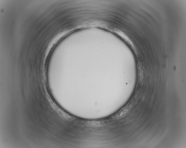 X0000079311088200612151746