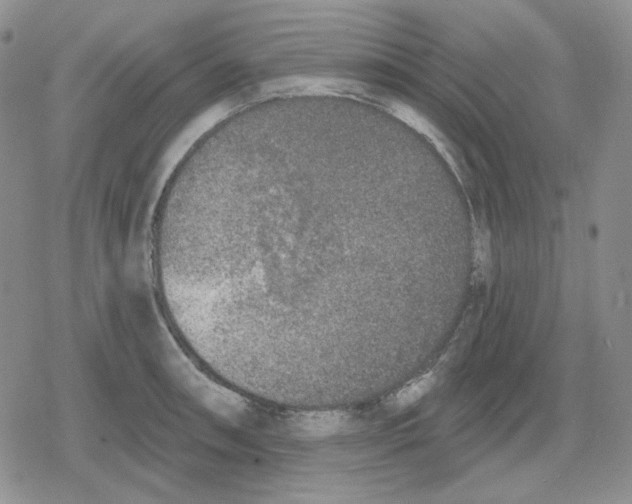 X0000079311090200612151746