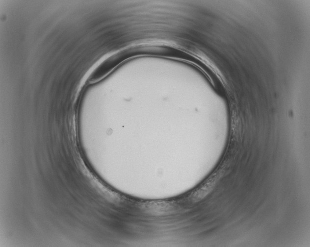 X0000079311092200612151746