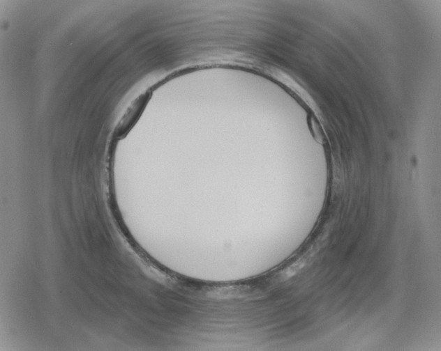 X0000079311093200612151746