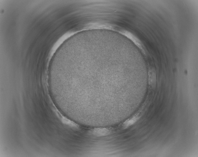 X0000079311094200612151746