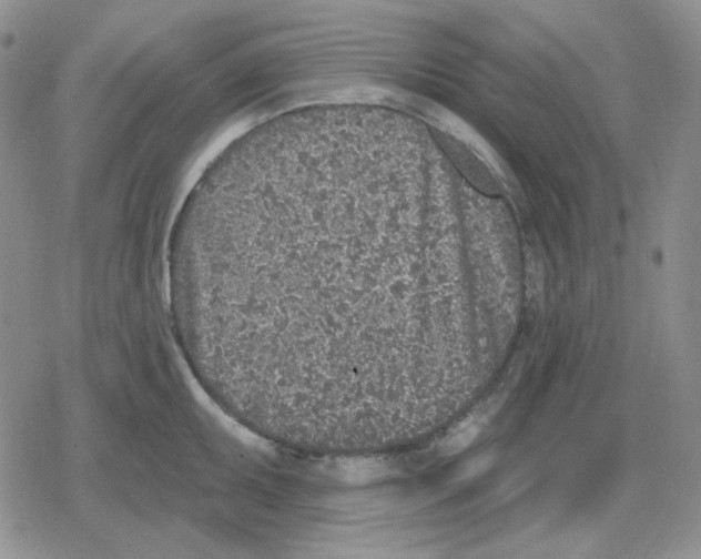 X0000079311095200612151746