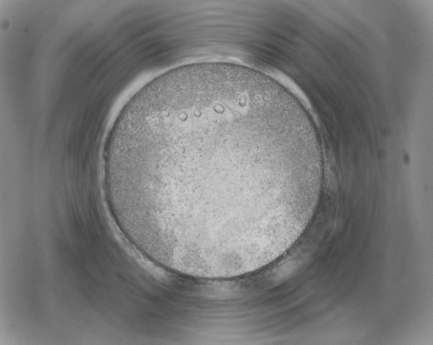 X0000079311096200612151746