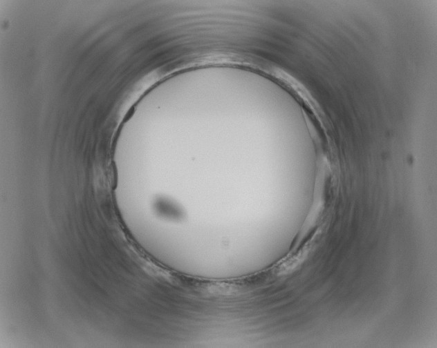 X0000079311097200612151746